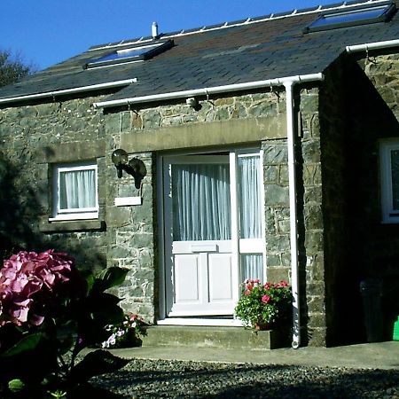 Vila Ty R Pwmp Haverfordwest Exteriér fotografie