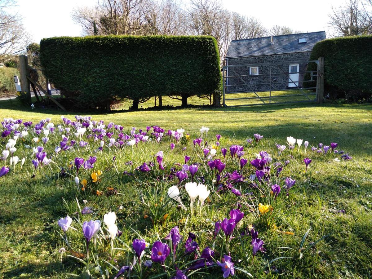 Vila Ty R Pwmp Haverfordwest Exteriér fotografie